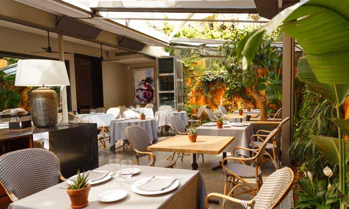 terraza-windsor terraza windsor